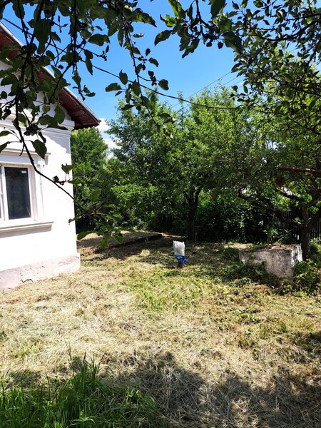 Hulubesti Dambovita