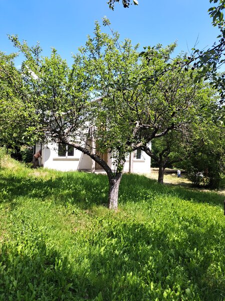 Hulubesti Dambovita