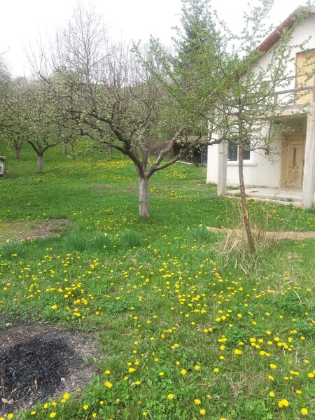 Hulubesti Dambovita