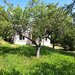 Hulubesti Dambovita