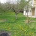 Hulubesti Dambovita